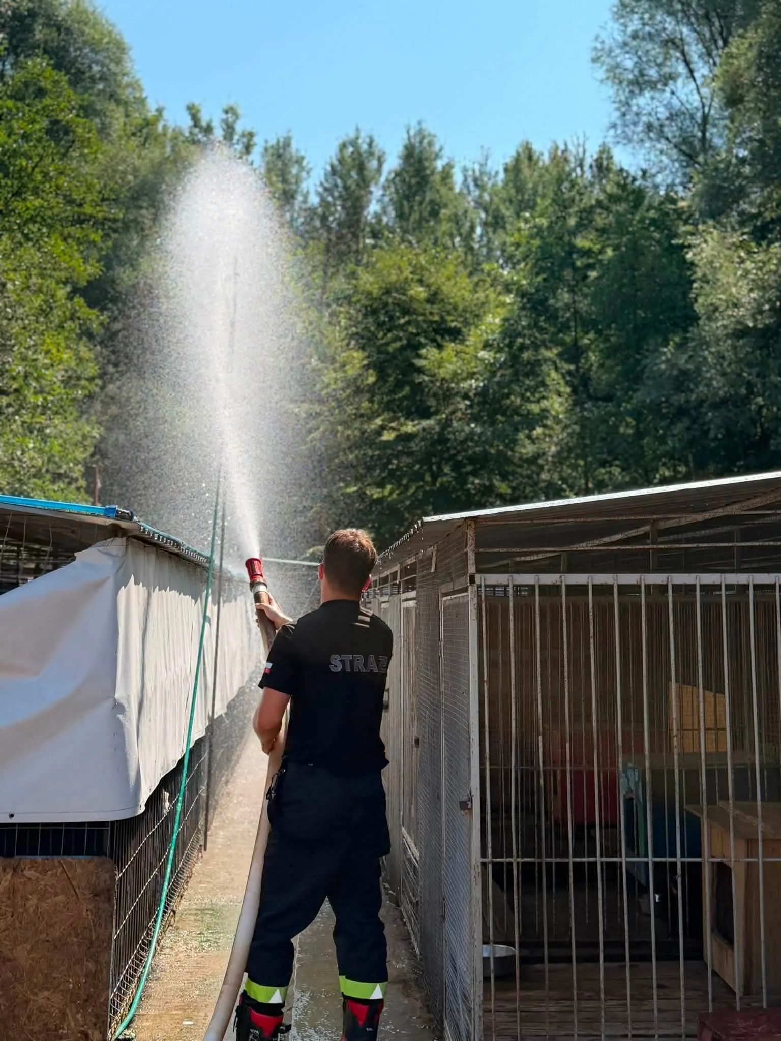 Zdjęcie do wpisu: 🚒💦 Wielkie podziękowania dla OSP KSRG Rzezawa! ❤️🐾