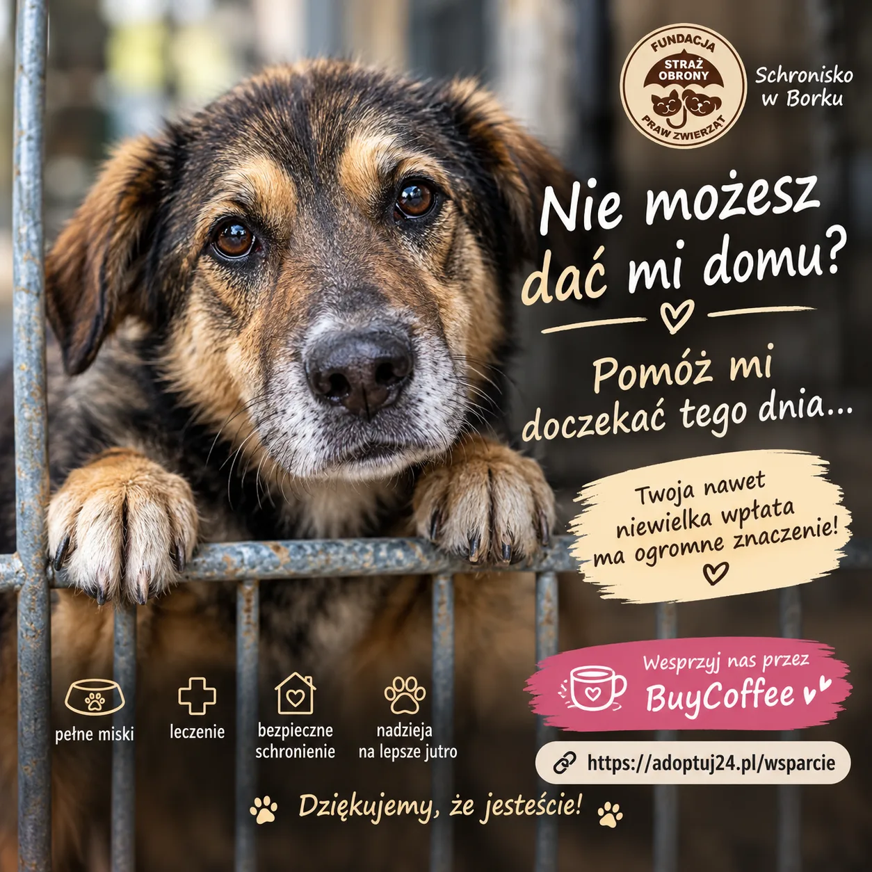 NIE MOŻESZ DAĆ MI DOMU? POMÓŻ MI DOCZEKAĆ TEGO DNIA