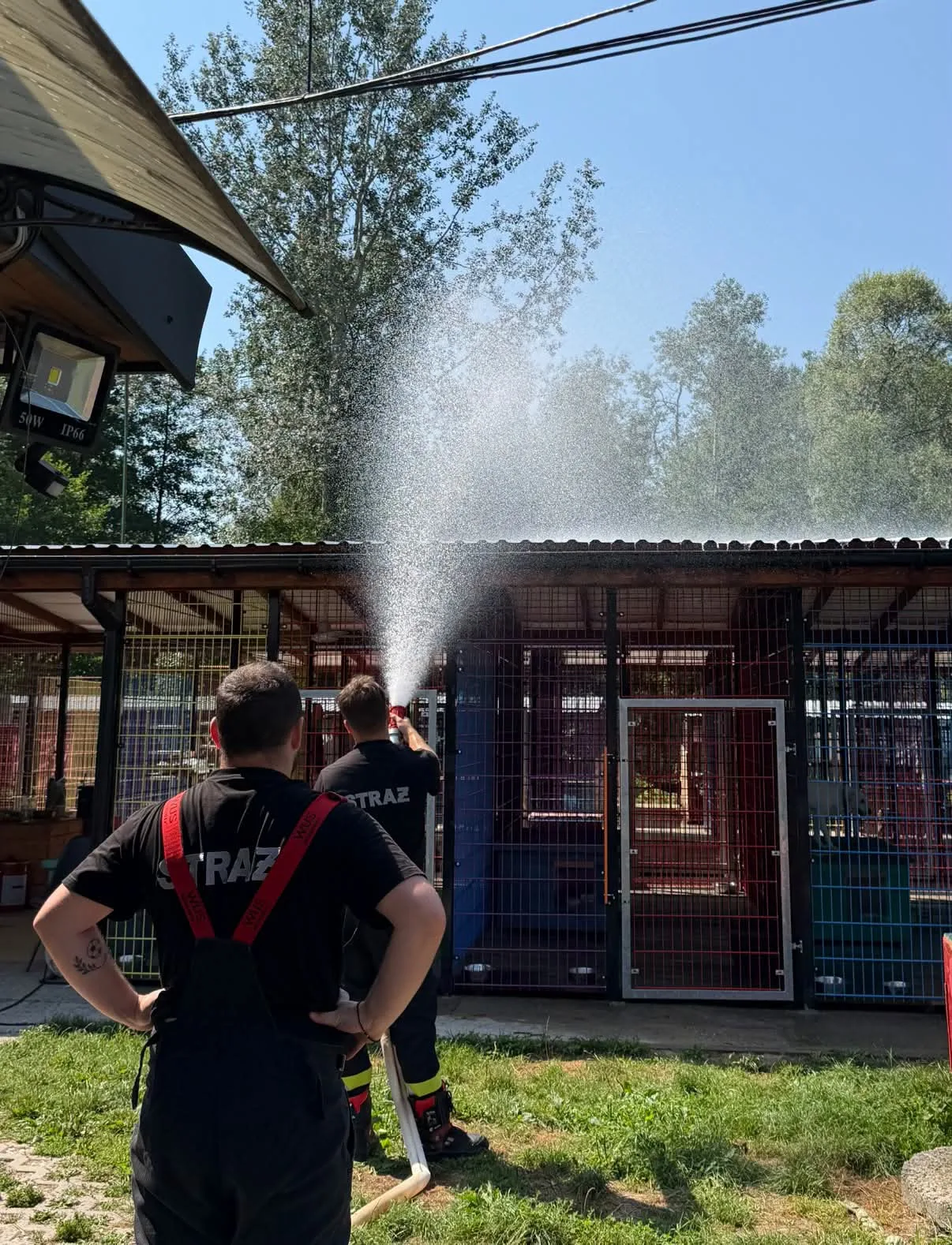 🚒💦 Wielkie podziękowania dla OSP KSRG Rzezawa! ❤️🐾