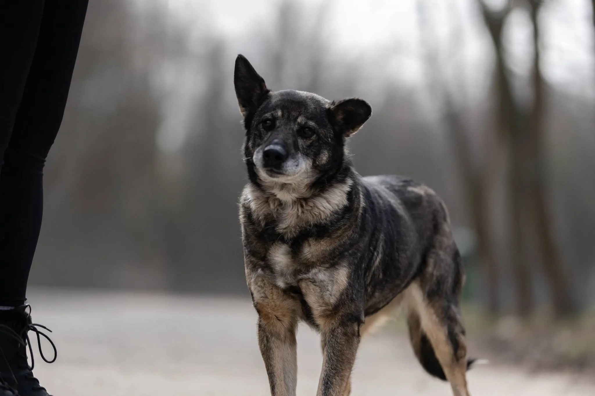 Zdjęcie: DOROTKA