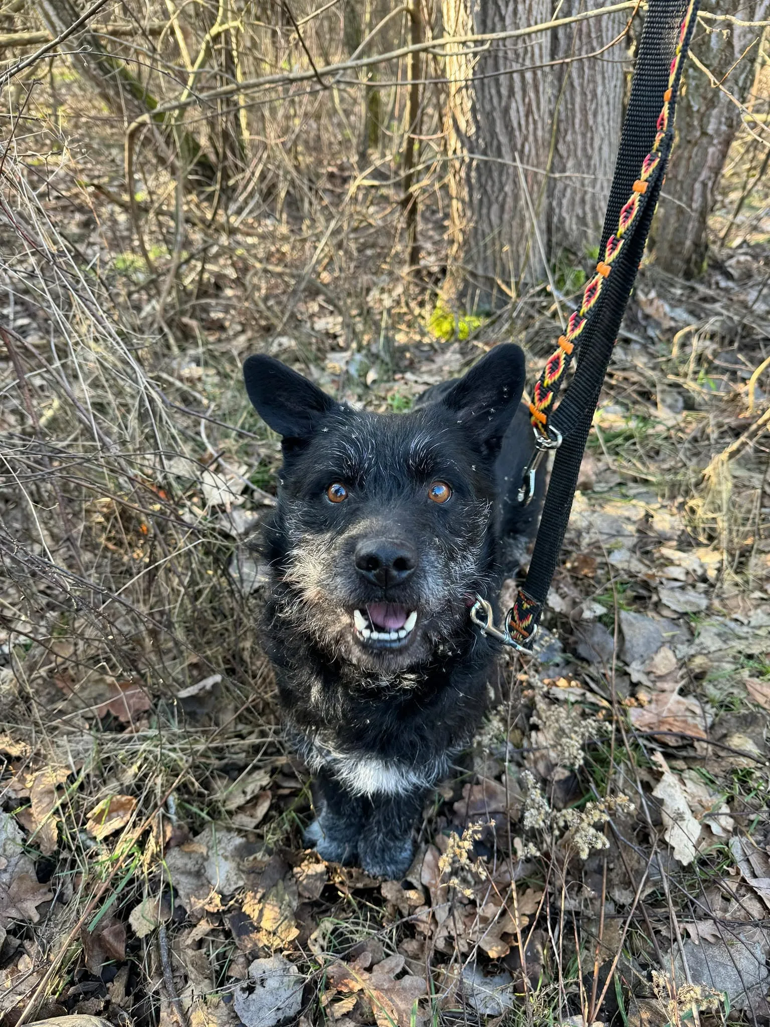 Zdjęcie: RUFUS