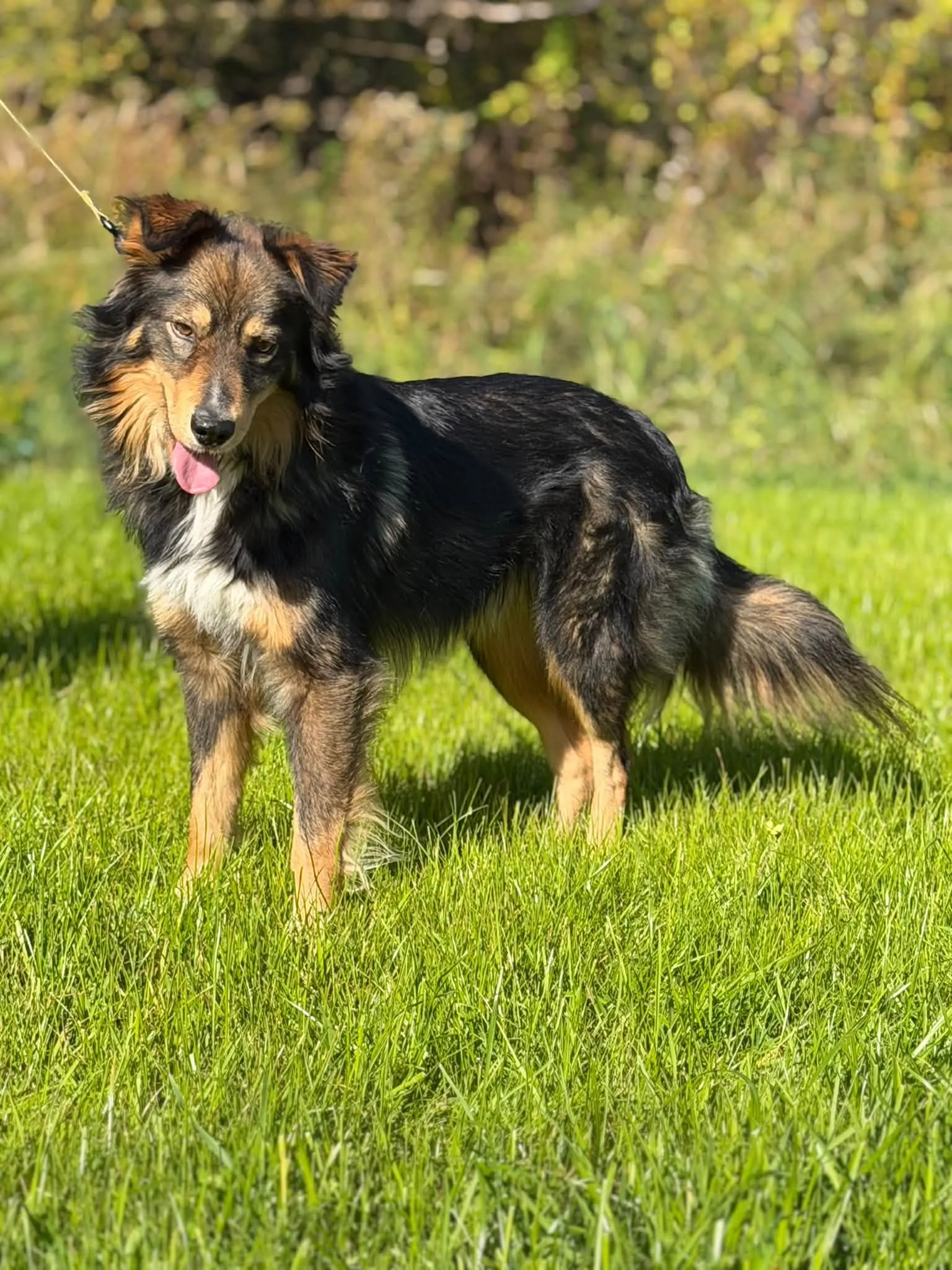 Zdjęcie: ARON
