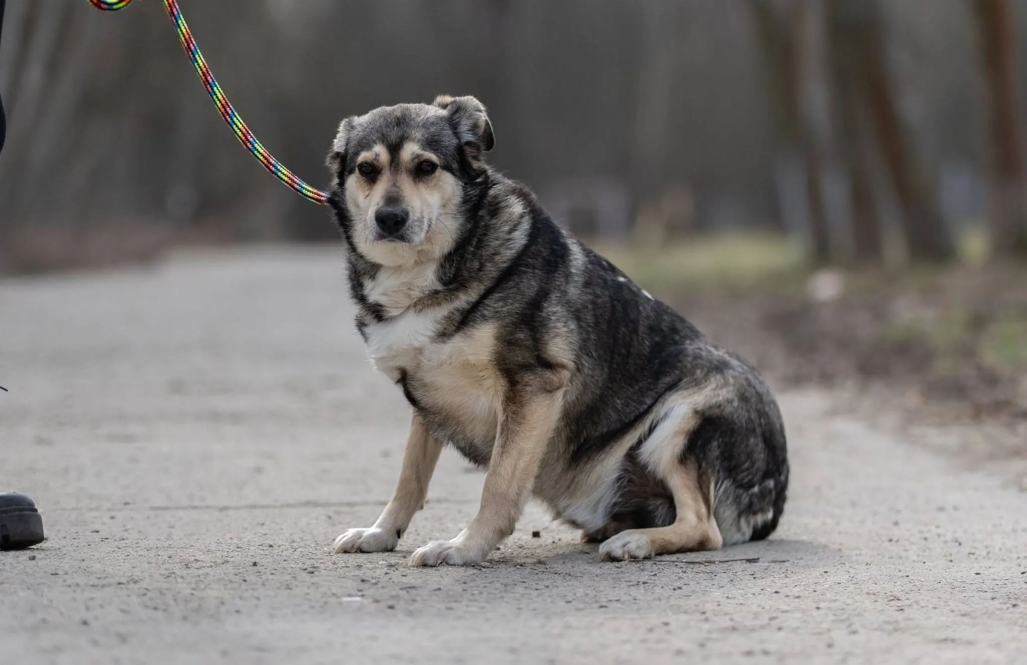 Zdjęcie: RANDAL