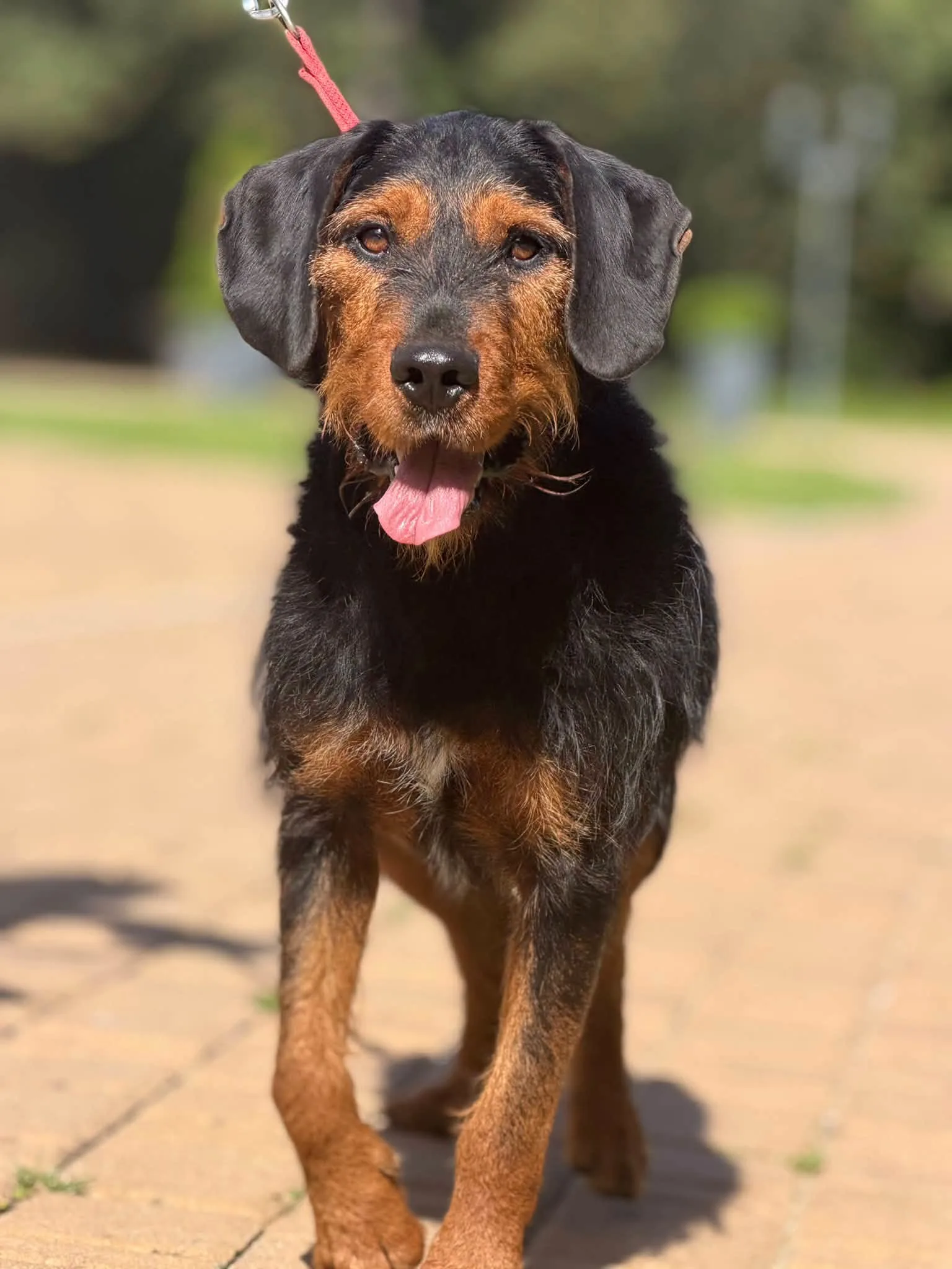 Zdjęcie: RINGO