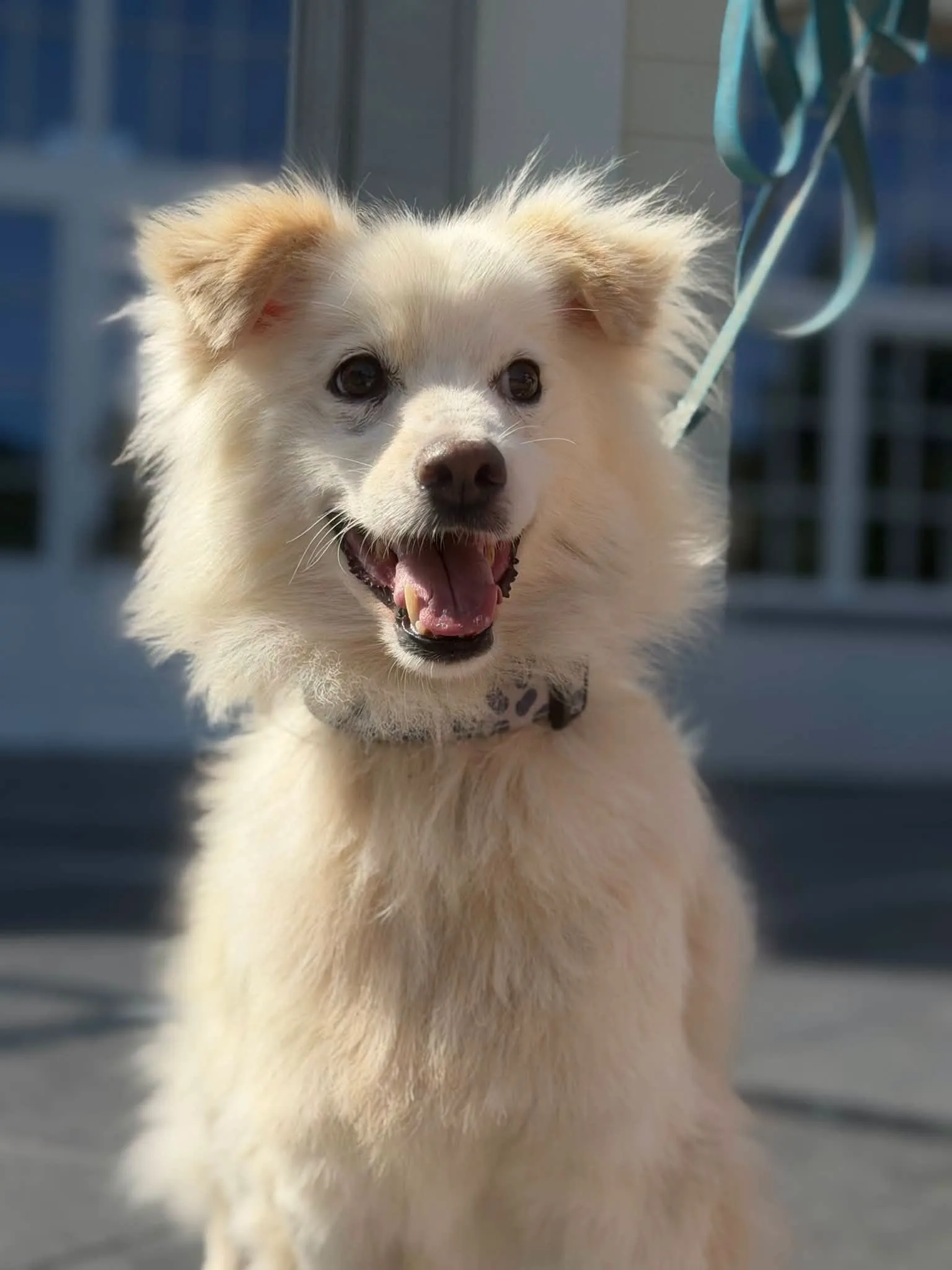 Zdjęcie: GUCIO