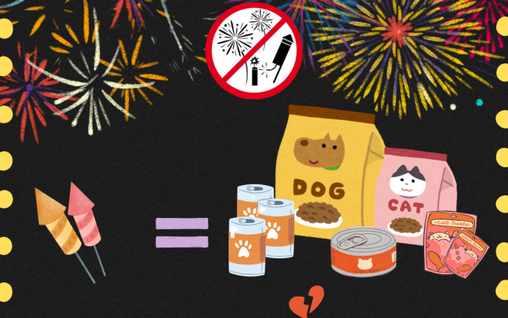 Nie strzelam w Sylwestra!